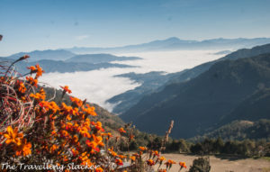 Nagaland Landscape