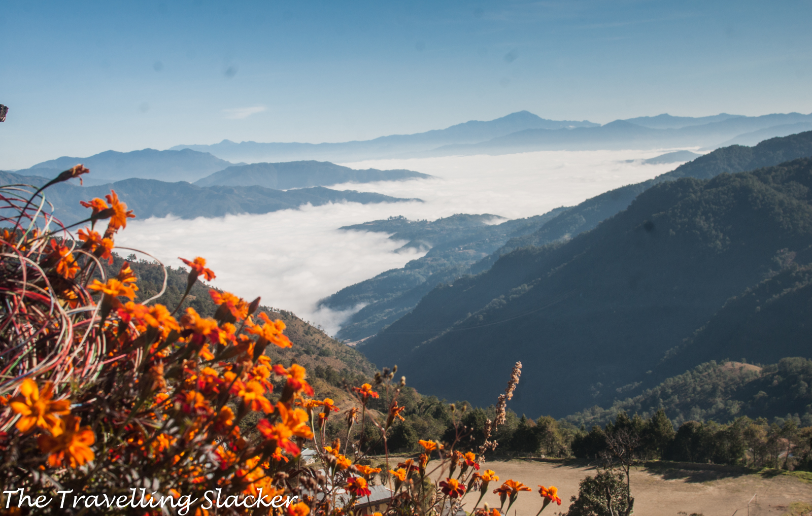 Nagaland Landscape